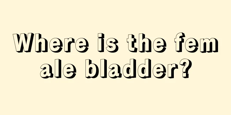 Where is the female bladder?