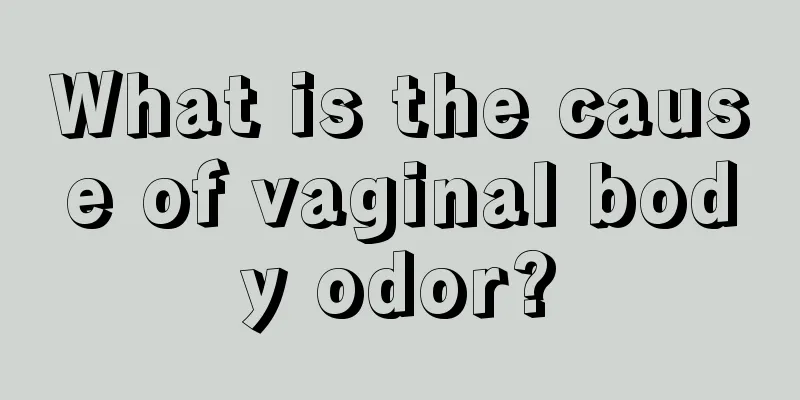 What is the cause of vaginal body odor?