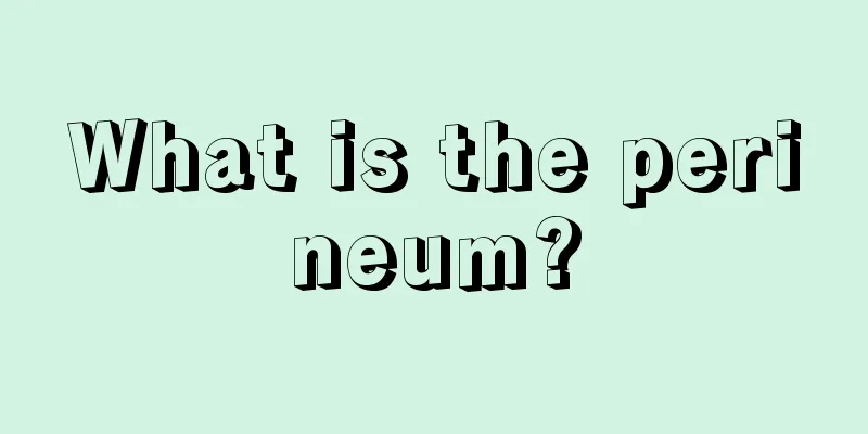 What is the perineum?