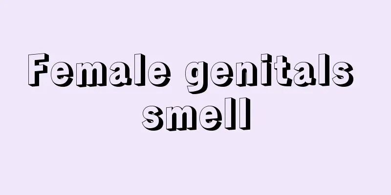 Female genitals smell