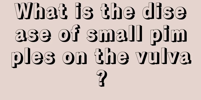 What is the disease of small pimples on the vulva?