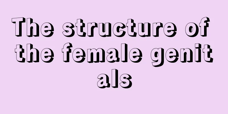 The structure of the female genitals