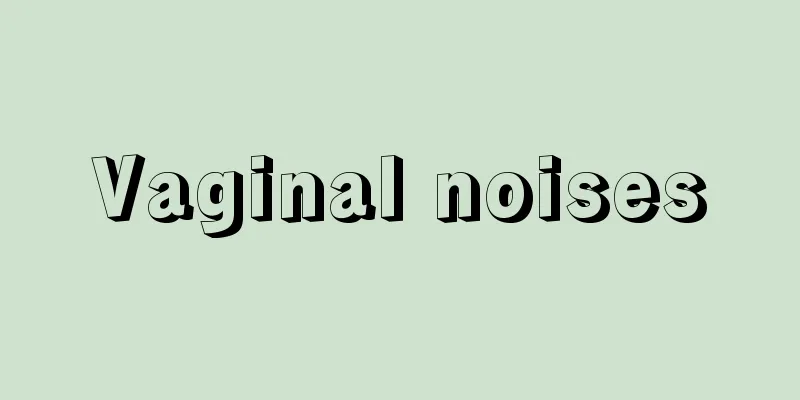 Vaginal noises