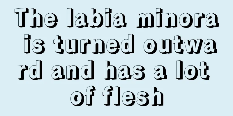 The labia minora is turned outward and has a lot of flesh