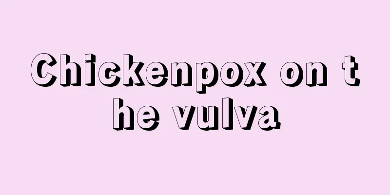 Chickenpox on the vulva