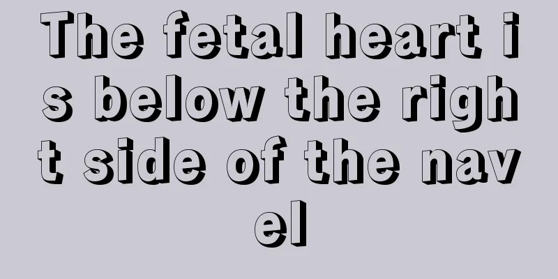 The fetal heart is below the right side of the navel