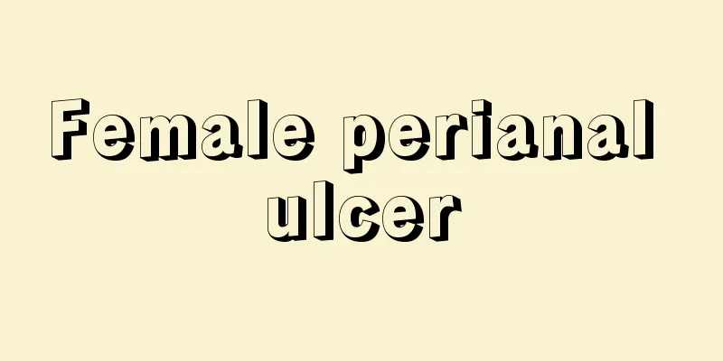 Female perianal ulcer