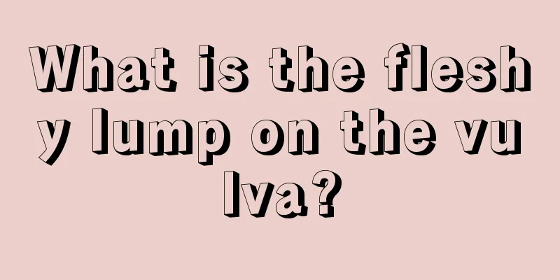 What is the fleshy lump on the vulva?