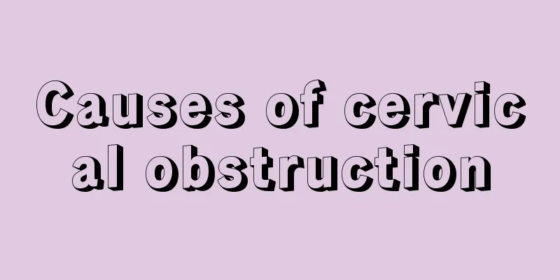 Causes of cervical obstruction