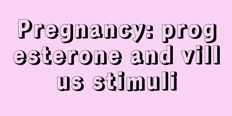 Pregnancy: progesterone and villus stimuli