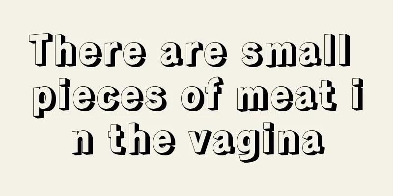 There are small pieces of meat in the vagina