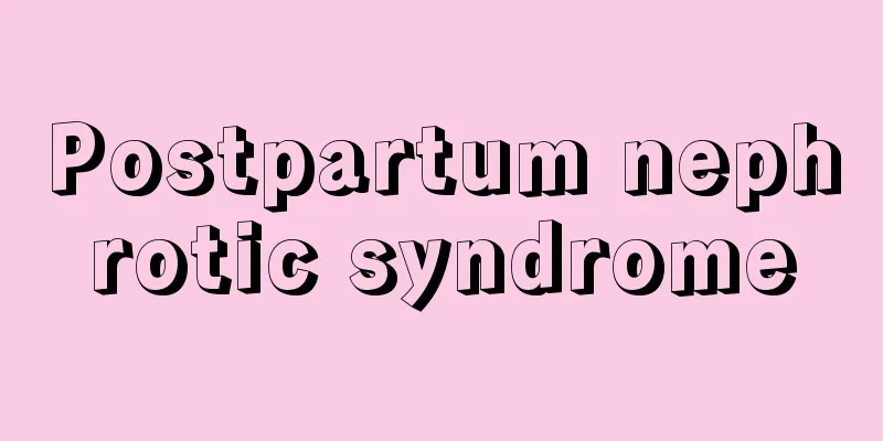 Postpartum nephrotic syndrome