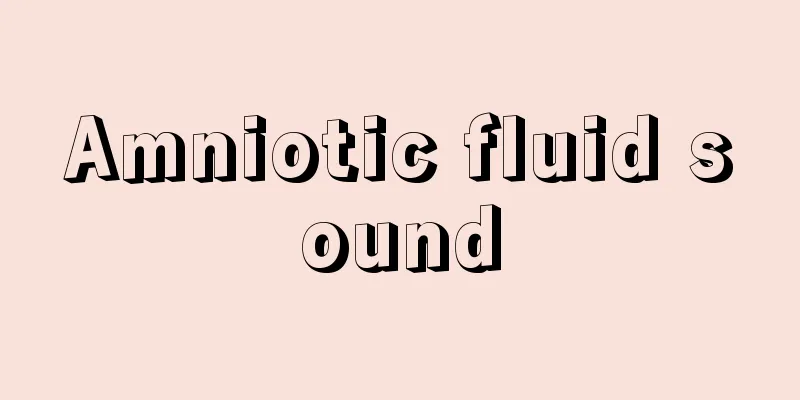 Amniotic fluid sound