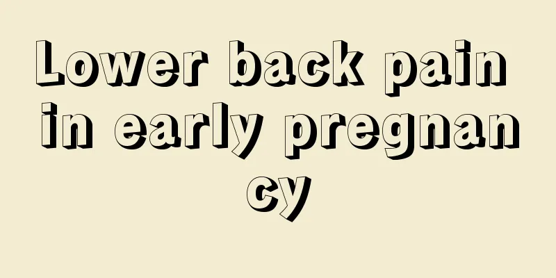 Lower back pain in early pregnancy