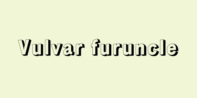 Vulvar furuncle