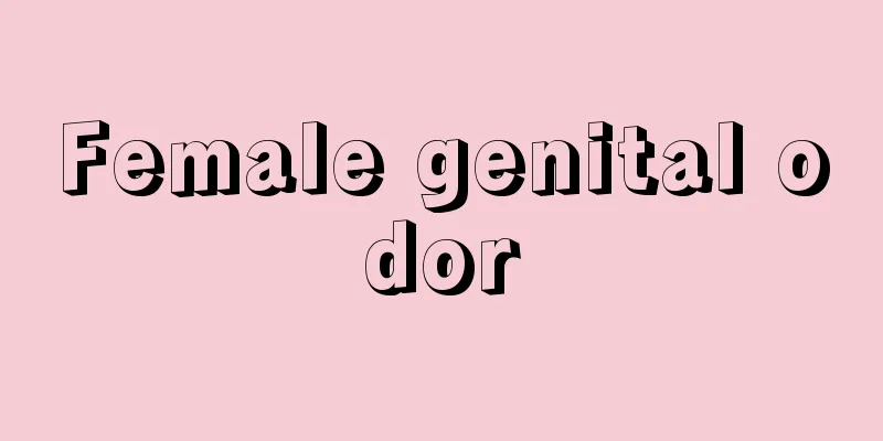 Female genital odor