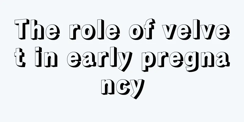 The role of velvet in early pregnancy