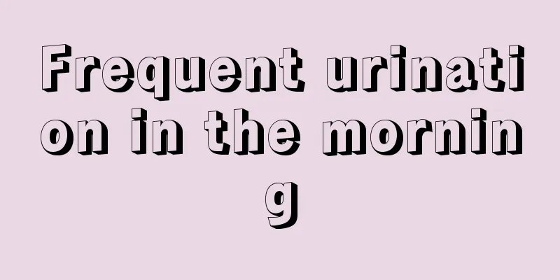 Frequent urination in the morning