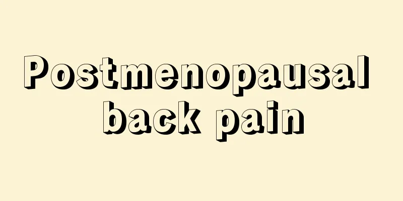 Postmenopausal back pain