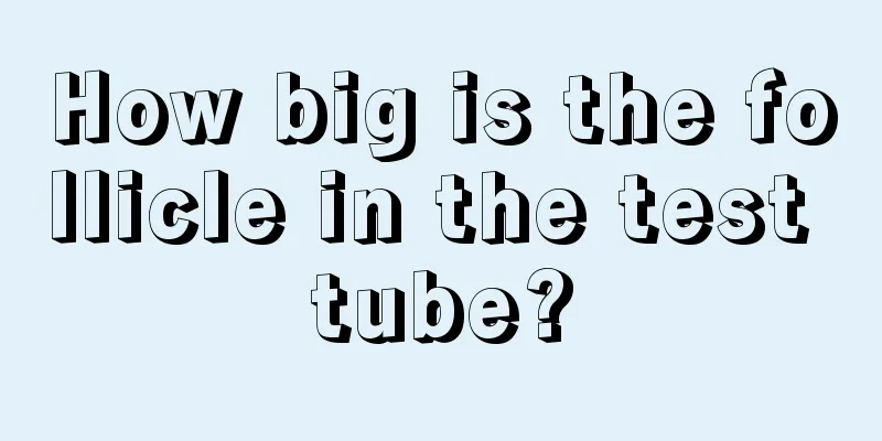 How big is the follicle in the test tube?