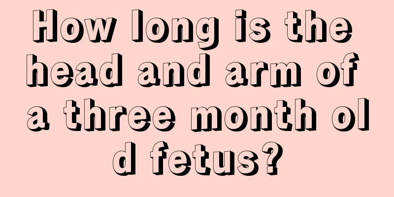 How long is the head and arm of a three month old fetus?