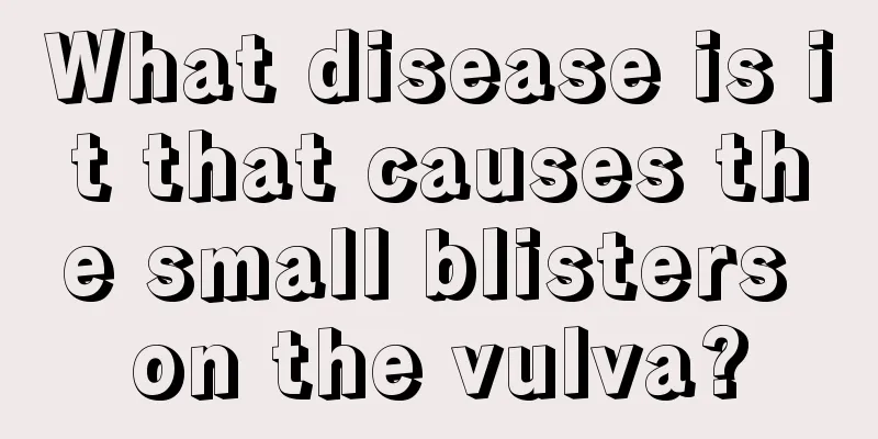 What disease is it that causes the small blisters on the vulva?