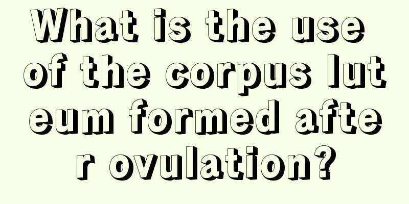 What is the use of the corpus luteum formed after ovulation?