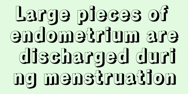 Large pieces of endometrium are discharged during menstruation