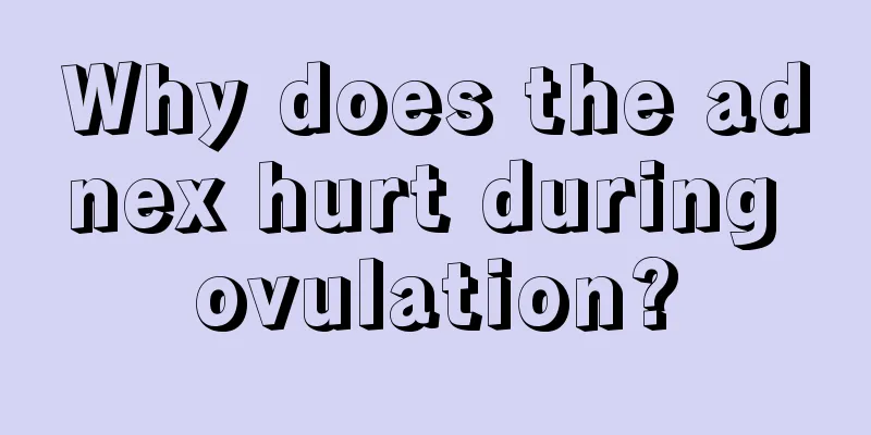 Why does the adnex hurt during ovulation?