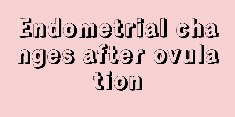 Endometrial changes after ovulation