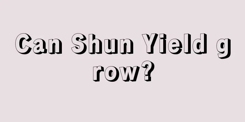 Can Shun Yield grow?