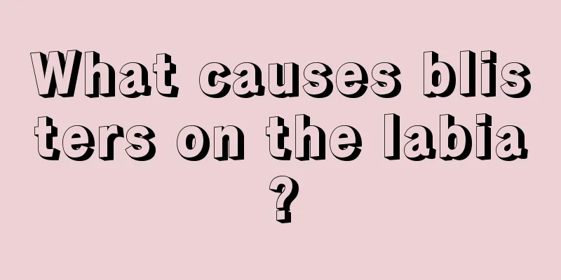 What causes blisters on the labia?