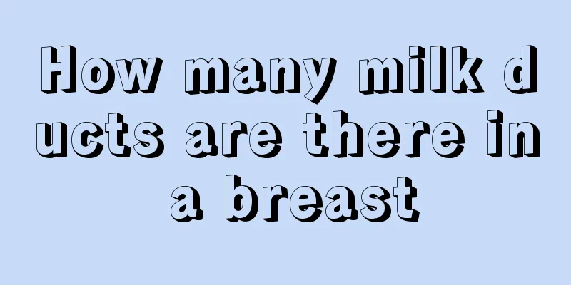 How many milk ducts are there in a breast