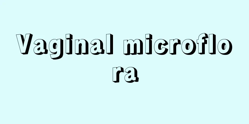 Vaginal microflora