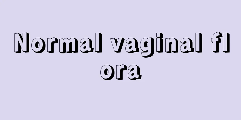 Normal vaginal flora