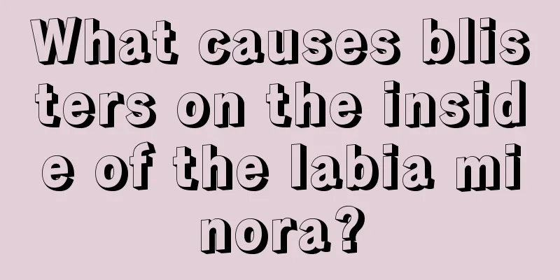 What causes blisters on the inside of the labia minora?