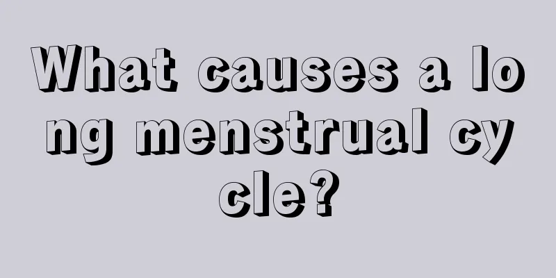 What causes a long menstrual cycle?