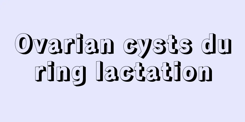 Ovarian cysts during lactation