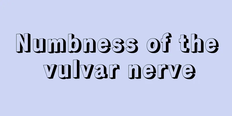 Numbness of the vulvar nerve