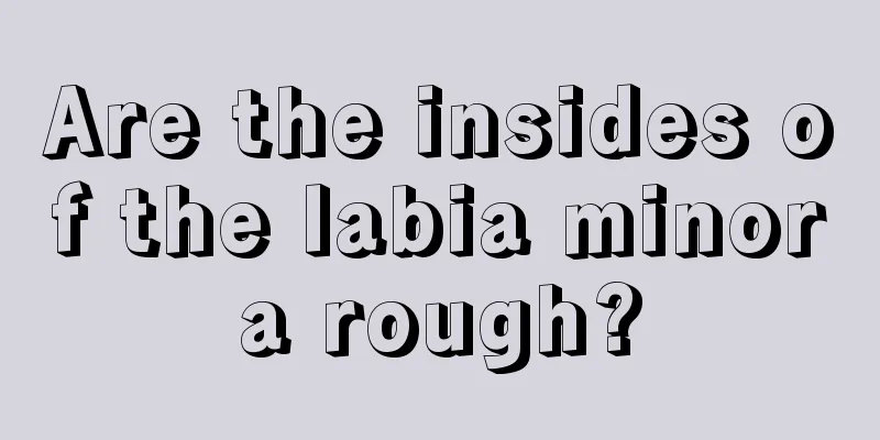 Are the insides of the labia minora rough?