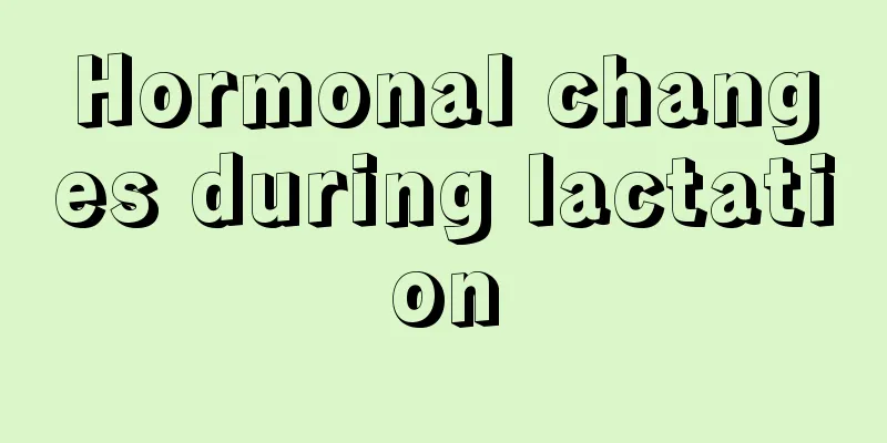 Hormonal changes during lactation