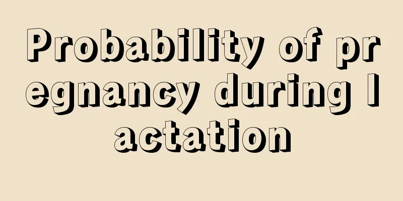 Probability of pregnancy during lactation