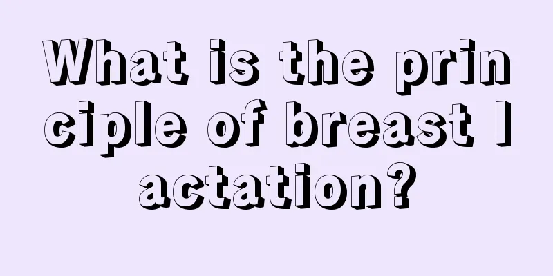 What is the principle of breast lactation?