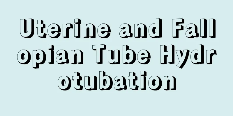 Uterine and Fallopian Tube Hydrotubation