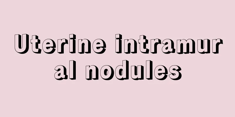 Uterine intramural nodules