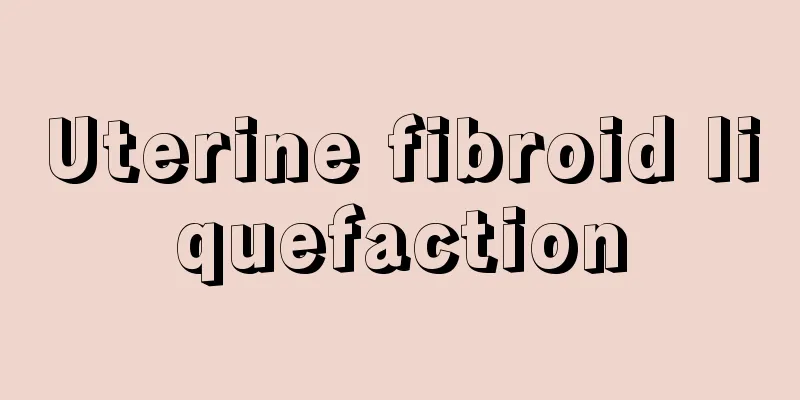 Uterine fibroid liquefaction