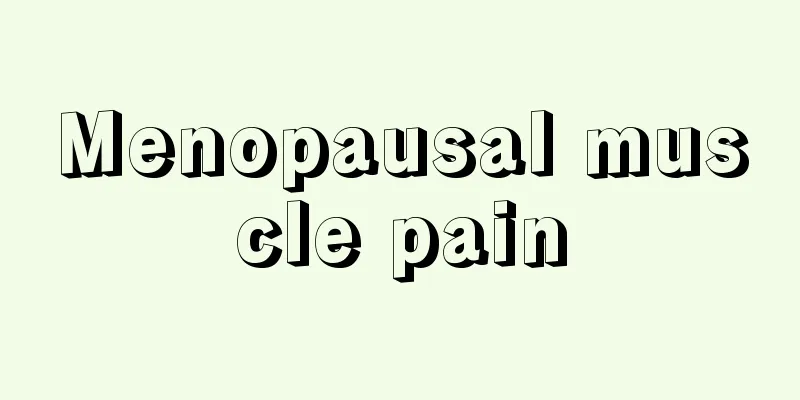 Menopausal muscle pain