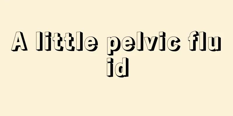 A little pelvic fluid