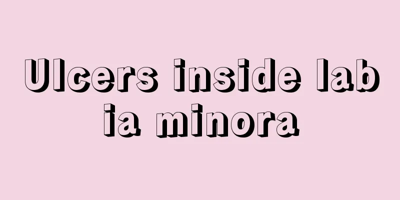 Ulcers inside labia minora