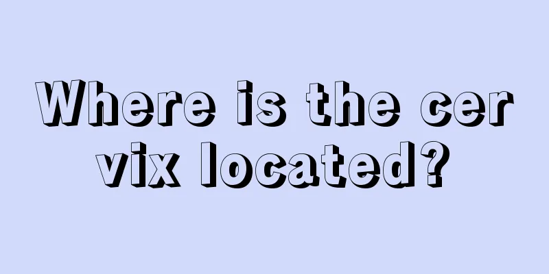 Where is the cervix located?